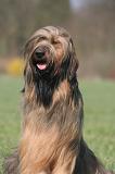 BRIARD 243